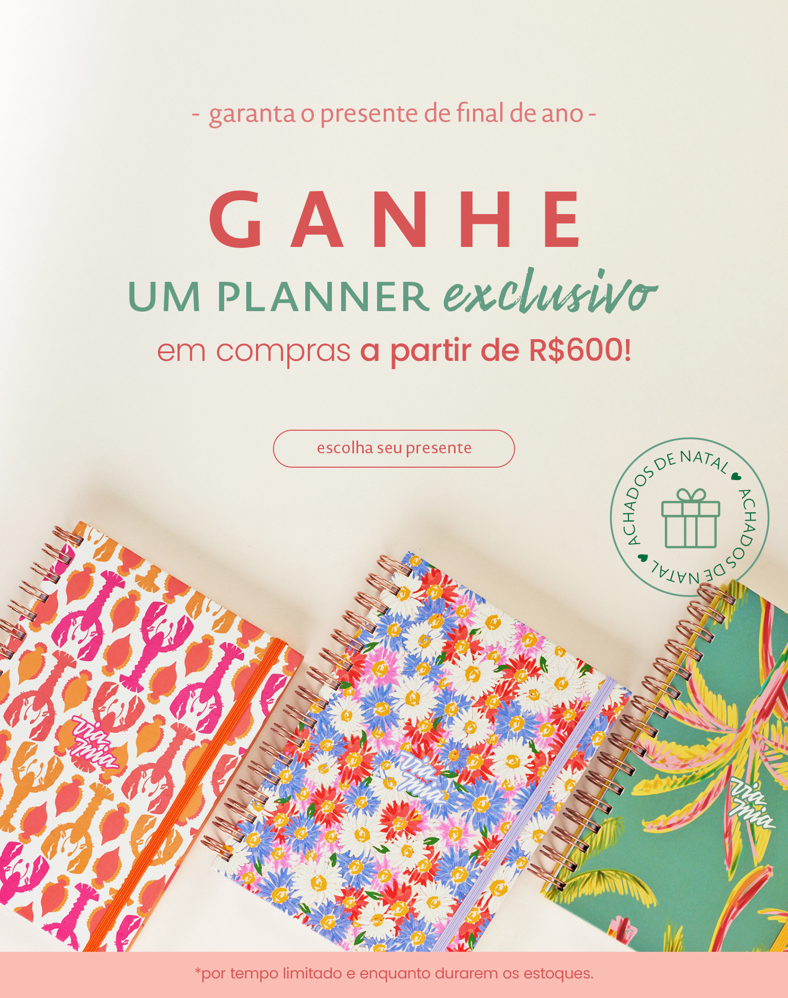 Compre e ganhe de Natal